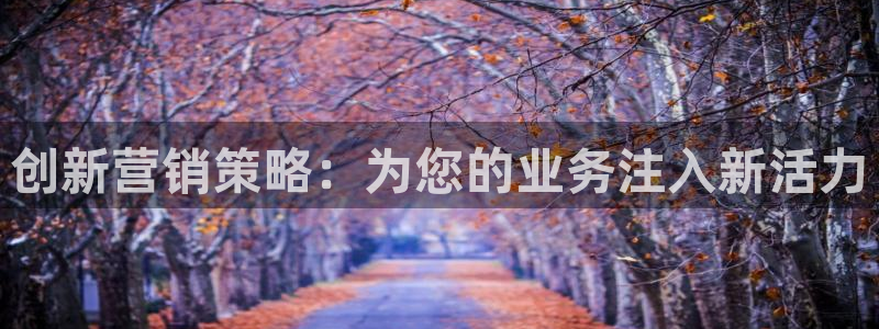 必赢3003am：创新营销策略