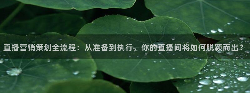 必赢手机app下载 最新版本：