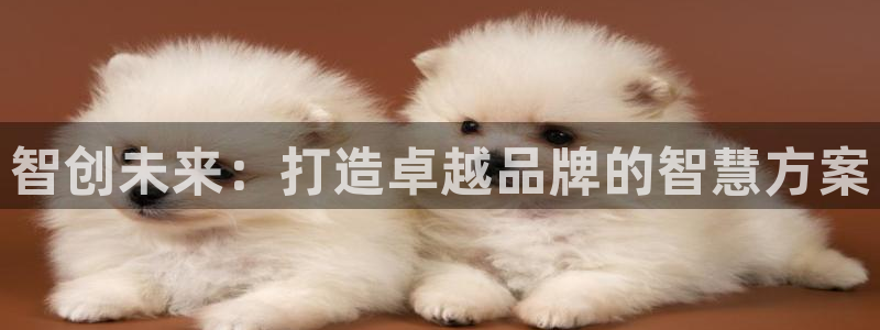 必赢国际儋州社区