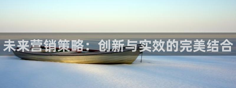 9965必赢棋官方网站怎么样