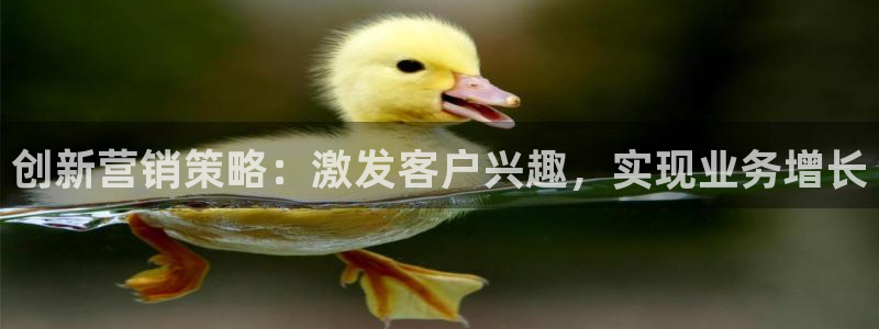 必赢8888