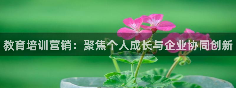 必赢亚赢网站官网下载安装最新版