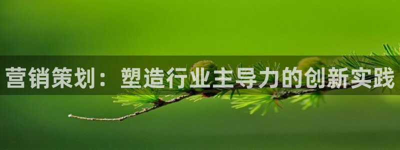 必赢集团网站改成多少