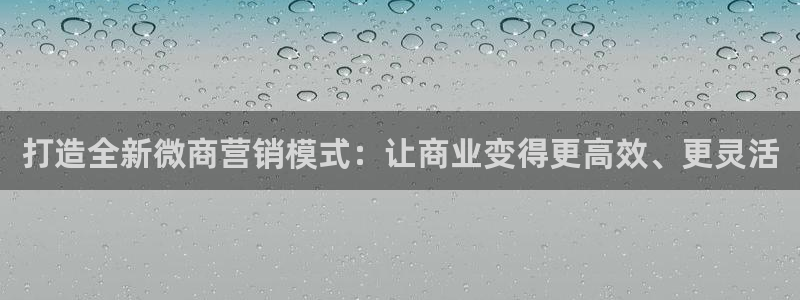 必赢科技有限公司