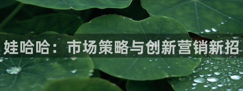 必赢3003必赢贵族宾会