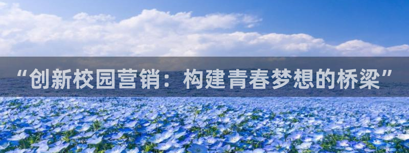 必赢下载
