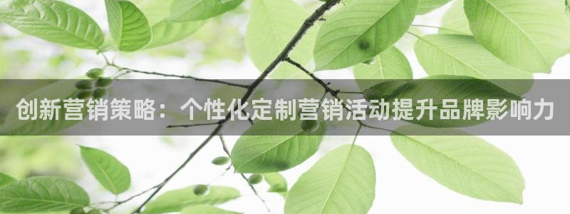 95必赢网址多少：创新营销策略