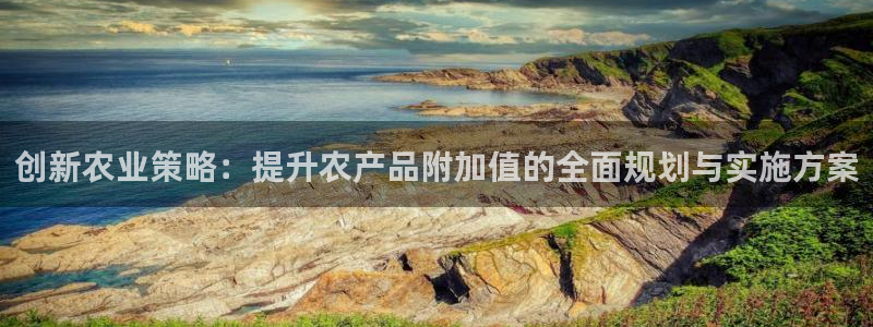 必赢网站是哪一个公司的：创新农