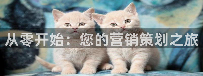 必赢棋脾9655app下载