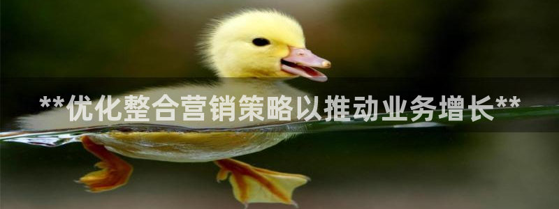 9965必赢游戏特色：**优化