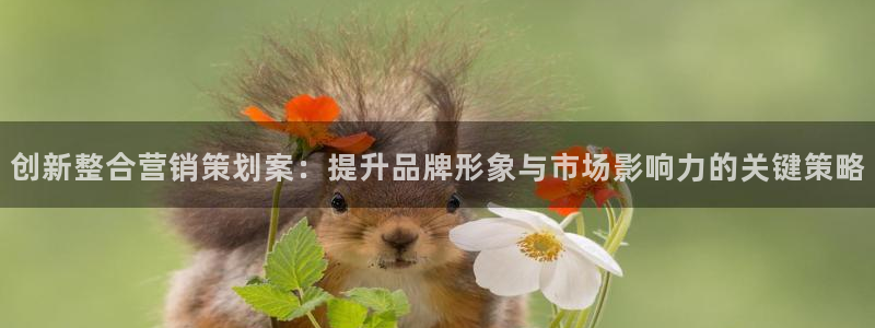 必赢手机app下载安装官网