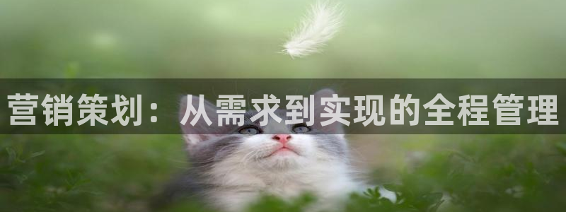 9965必赢棋官方网站2.5.10