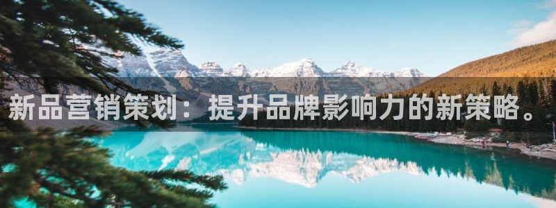 必赢集团网站是什么